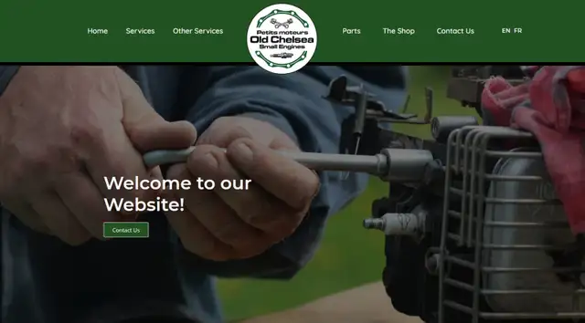 High Quality WEB DESIGN / Mobile Optimized / Logos / BCards64186412286850123