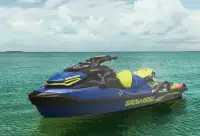 Seadoo wakepro 2021 with audio and trailer