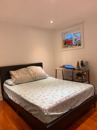 Bright female room in a spacious basement apartment