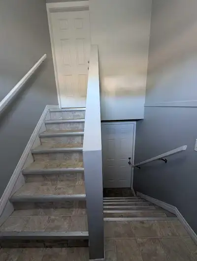 Basement suite for rent!