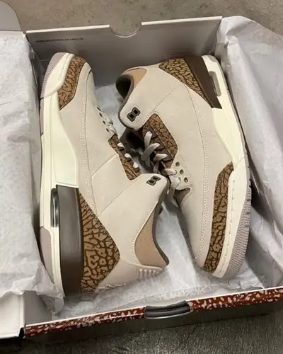 Jordan 3 palomino size 12, View more