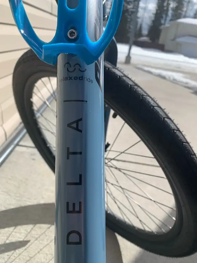 Raliegh Delta relax ride bike in Cruiser, Commuter & Hybrid in St. Albert - Image 6