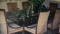 6 chaises luxueuses “ROUGIER” pour salle à manger