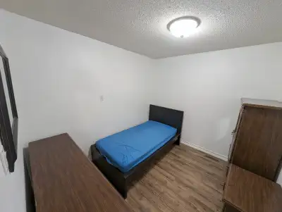 Room for Rent along Hwy.7 & Dufferin St.