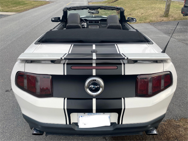 Convertible Mustang GT 5.0 California Special manual in Cars & Trucks in Brockville - Image 2