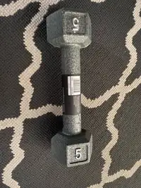 BRAND NEW 5 LBS DUMBBELL HALTÈRE FOR SALE!