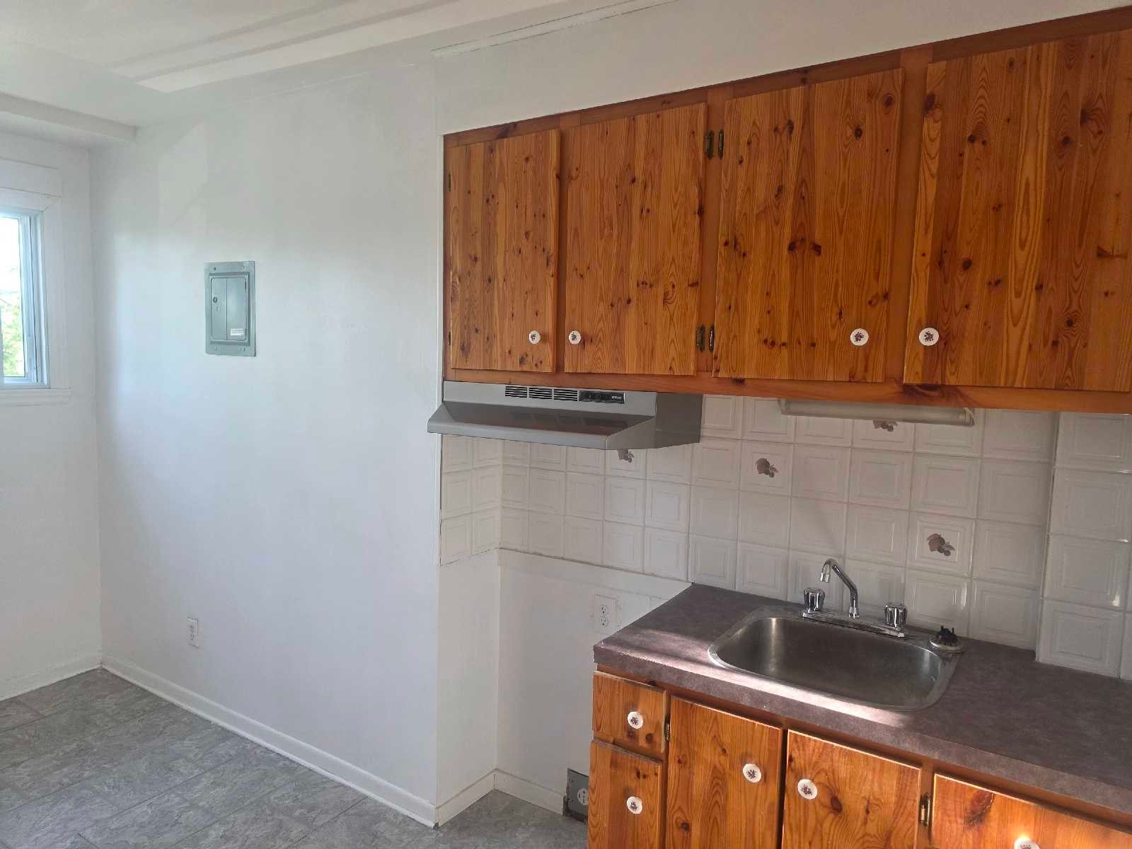 Très grand 3 1/2 Anjou,  1130$ — photo 3