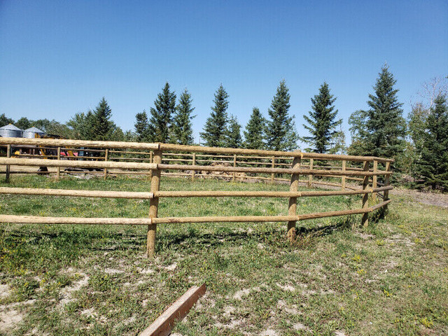 Custom Cattle Fencing and Acreage Fencing in Equestrian & Livestock Accessories in Regina - Image 3