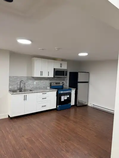 Charming 1 Bedroom, 1 Bath basement in a Semi-Detached in Nugent street Dieppe– Available May 1, 202...