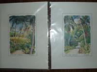 2 NEW Signed Prints Artist Jill Walker – Flower Forest Barbados