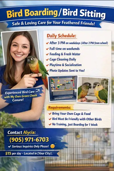  THIS IS A BIRD BOARDING SERVICE – NOT SELLING ANY ANIMALS , View more
