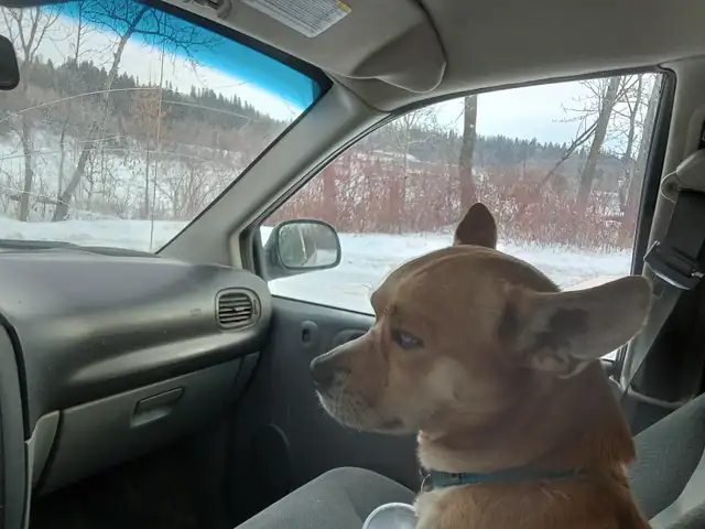 Edmonton too Calgary65546736443523120