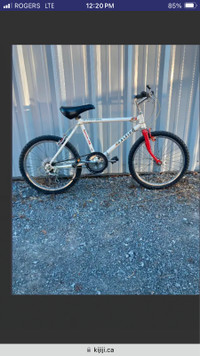 Raleigh Kids Mountain Bike