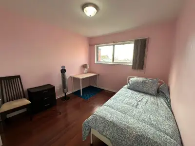Rooms for Rent: Male Non-Smoking Students Local/International