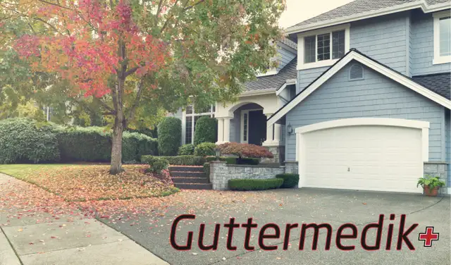 Guttermedik628637197082901212
