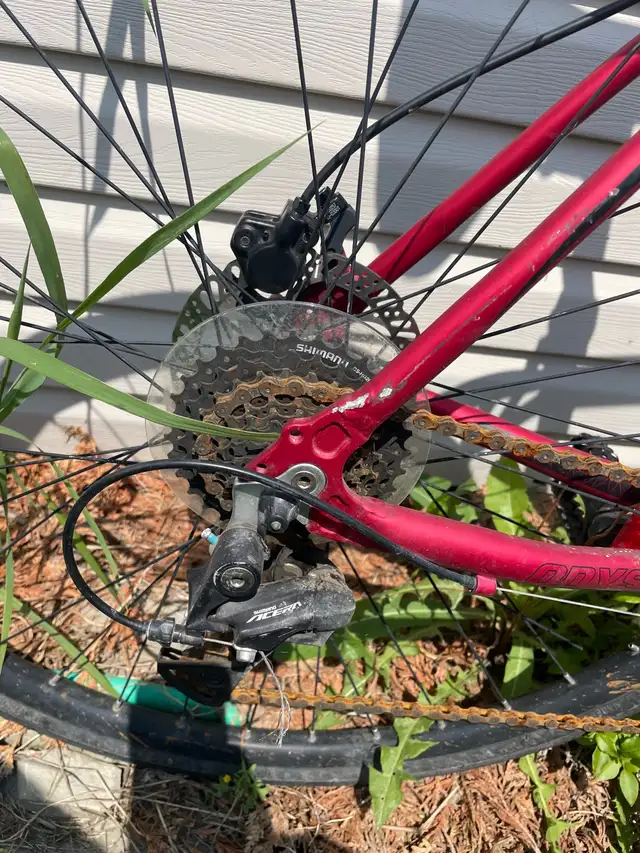 Vélo Opus in Cruiser, Commuter & Hybrid in Longueuil / South Shore - Image 3