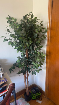 Indoor Artificial Tall  Tree Excellent Condition