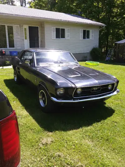 North of Madoc ont 15min Maby Trade for 40'-55 Chevy Truck .. Or 55 belair 2d 30's-55 hot rod classi...