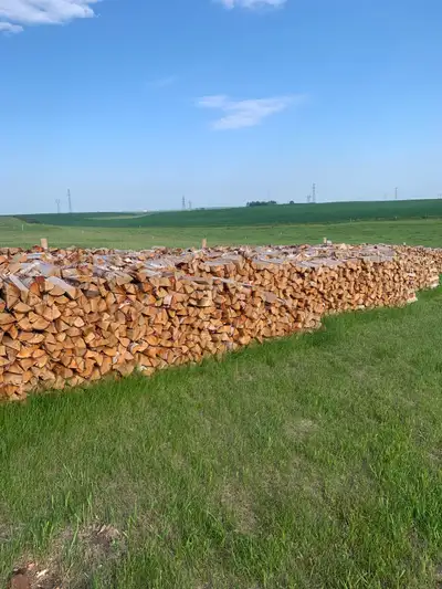 Premium Birch Firewood/ Free Delivery , View more