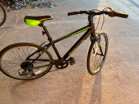 Giant Youth Bike