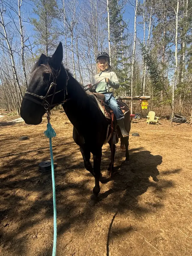 Horseback riding available!441075151595130883