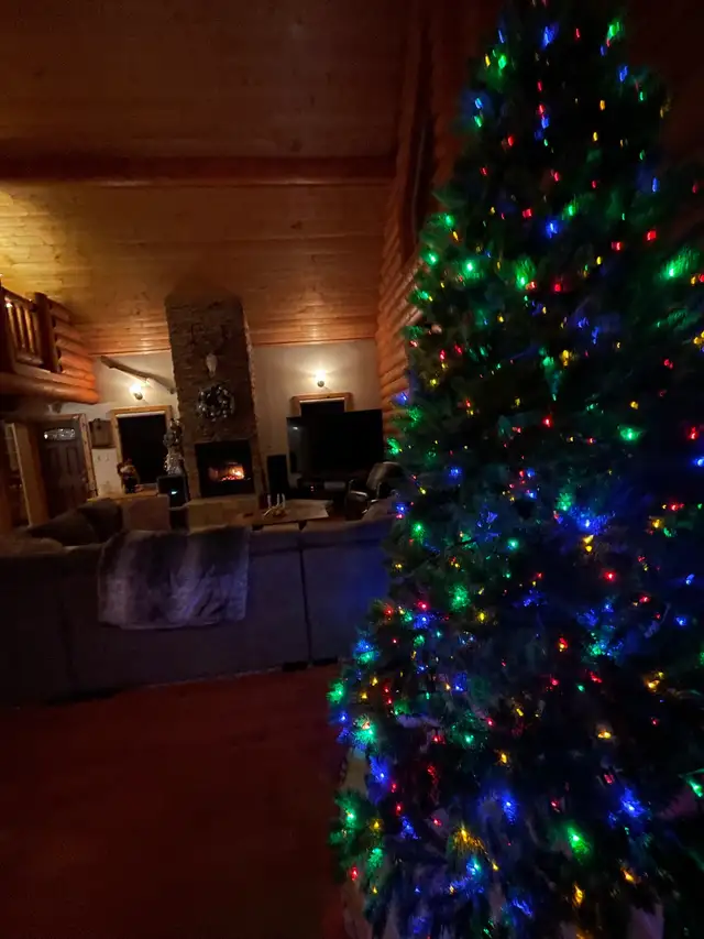 Christmas decor  in Home Décor & Accents in St. Albert - Image 9