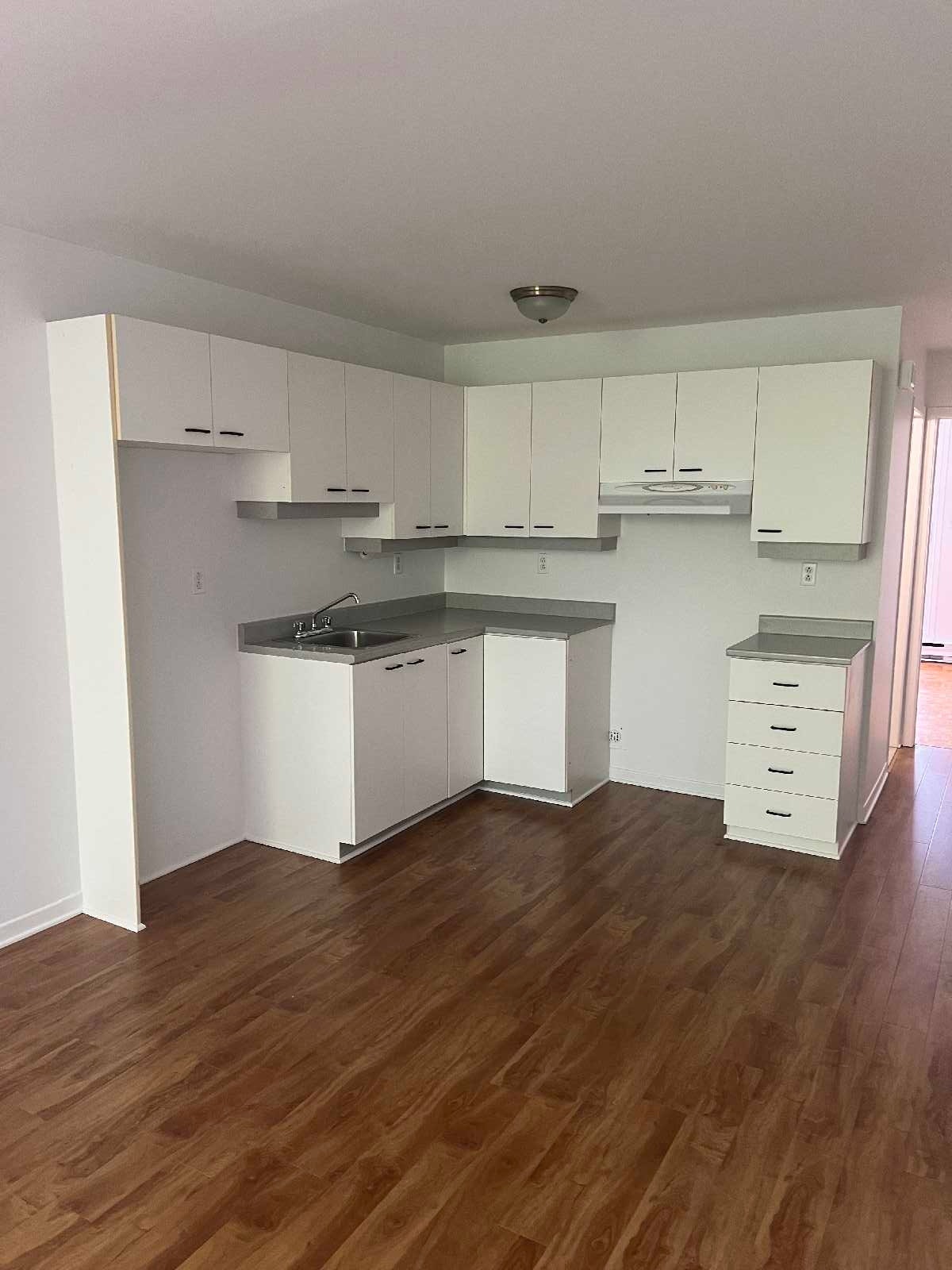 2127 Rue Marie-Anne — photo 1