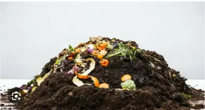 dump  spot needed, View more