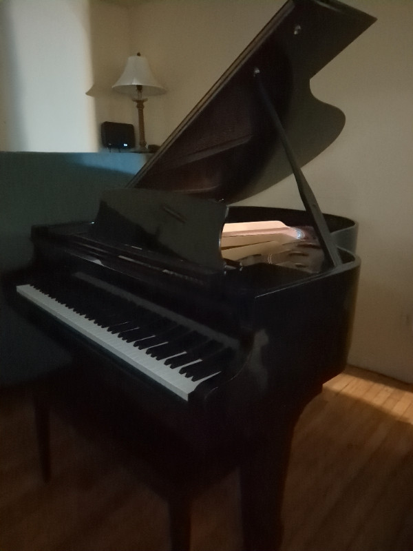 Baby Grand Samick Piano For Sale (Can Deliver) in Pianos & Keyboards in Moncton - Image 4