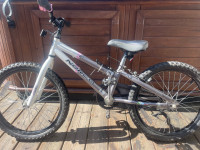 Kids Norco 20” bike $40