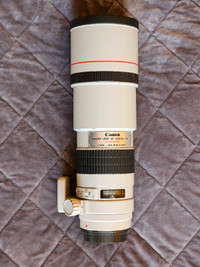 Canon 300mm f4 L USM