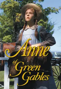 ANNE OF GREEN GABLES nighty from 1985