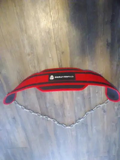 Gymreapers Dip Belt - Red, View more