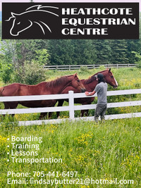 Horse boarding - indoor, outdoor, hybrid