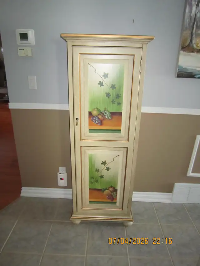Decorative Storage Cabinet in Bookcases & Shelving Units in North Bay - Image 2