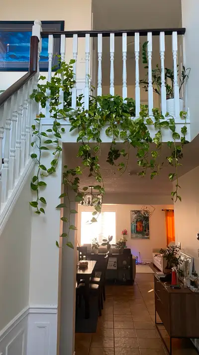 room to rent
