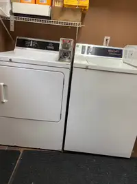 Coins Washer and Dryer 