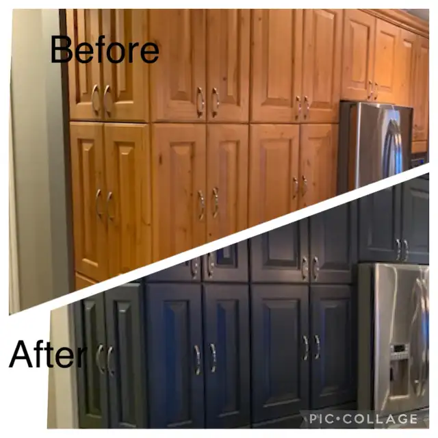 Professional Painter & Decorator 64148006057475124