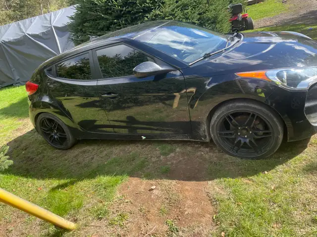 2012 veloster573329967657799681