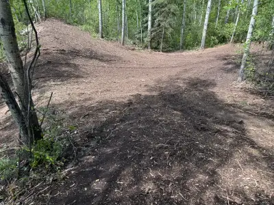 Transform Your Land with Professional Forestry Mulching & Land Management! Looking to clear overgrow...