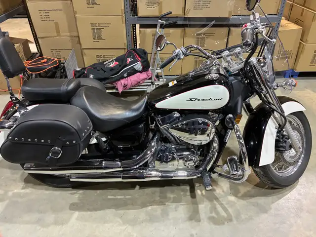 2008 Honda Shadow 750cc with only 5'000 KM in Street, Cruisers & Choppers in Edmonton - Image 4