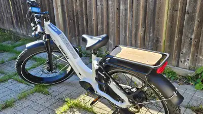 Himiway Zebra Step Thru E-bike, View more