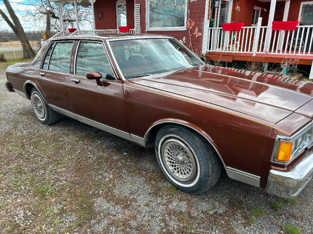 1981 Chevrolet Caprice in Classic Cars in Gatineau - Image 2