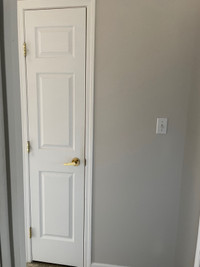 18” x 80” prehung door ( painted white ) 