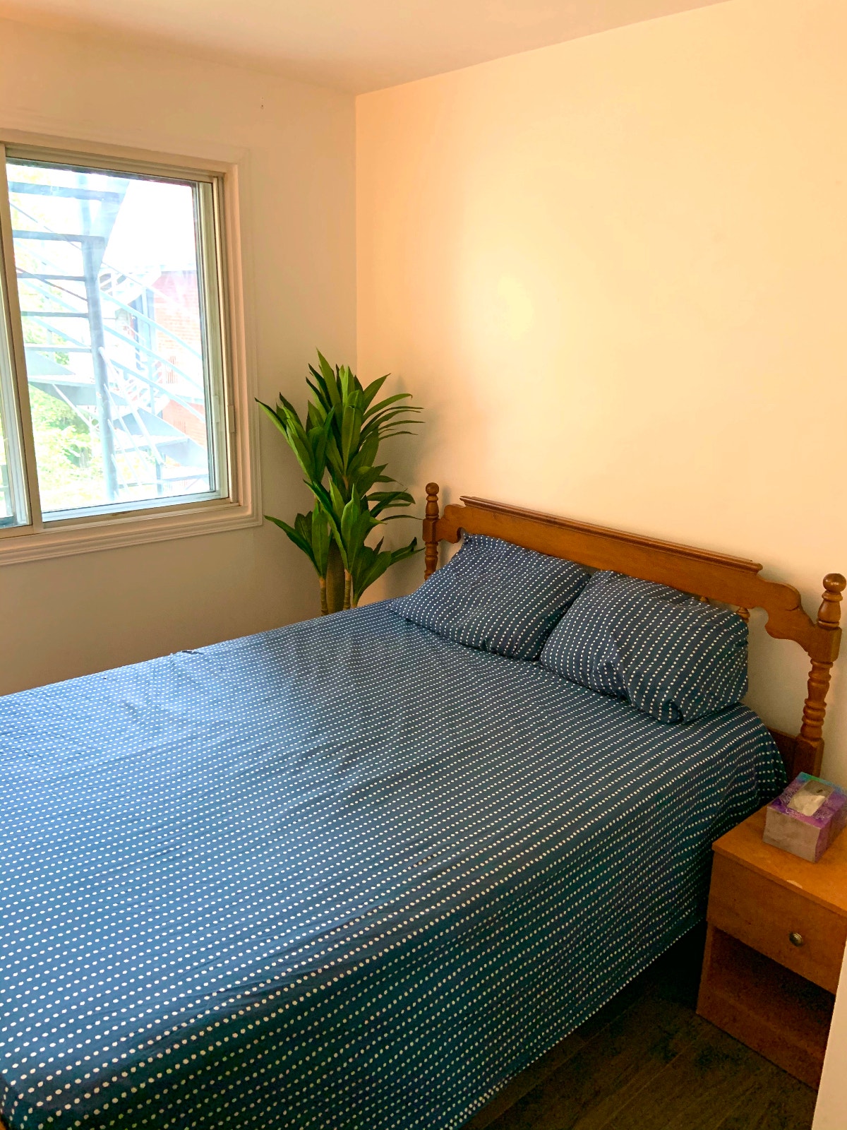 Female roommate needed/coloc femme recherchée — photo 2