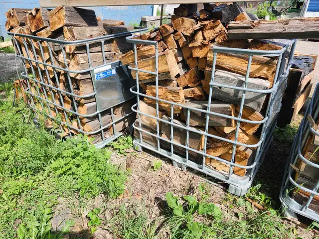 firewood softwood campfire