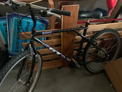 GT Talera Vintage Mountain Bike, View more