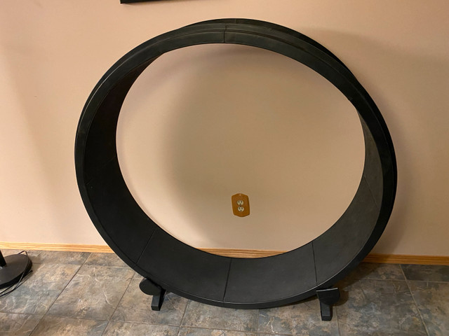 cat wheel  in Other in Edmonton
