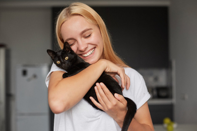 Gardienne de chats à domicile (Technicienne en Santé Animale) in Animal & Pet Services in West Island - Image 4