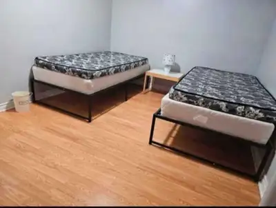 basement apartment
